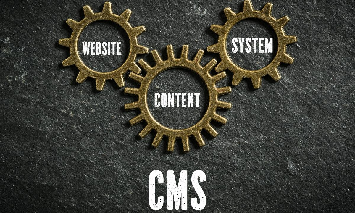 The Essential Guide to Choosing the Right CMS for Your Business